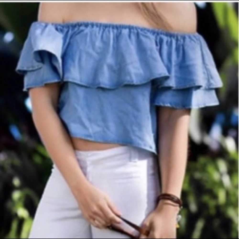 Zara denim Ruffle Chambray Crop Top